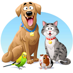 Fur, Feathers and More Pet Sitting