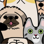 A Cat Named Hezzie Pet Sitting Services