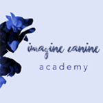 Imagine Canine Academy