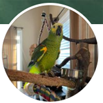 Rhonda’s Pet Care Services Rhonda’s Pet Care Services